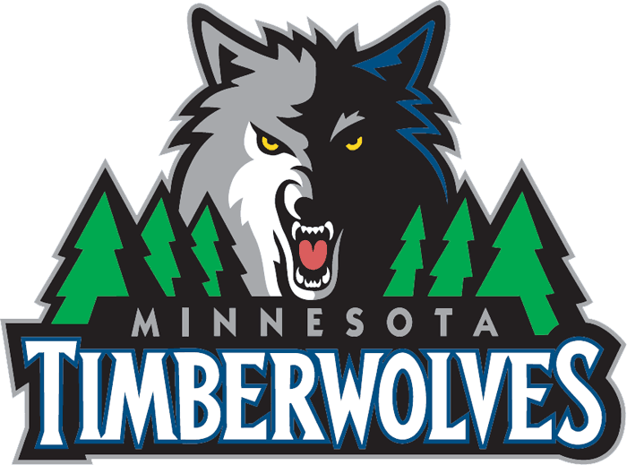 Minnesota Timberwolves 2008-2016 Primary Logo DIY iron on transfer (heat transfer)